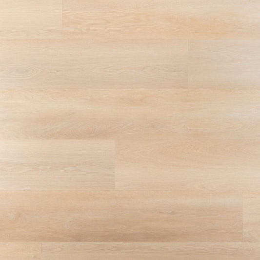 Douwes Dekker Riante tarte tatin dryback