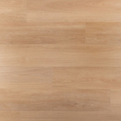 Douwes Dekker Riante Plank tompouce dryback
