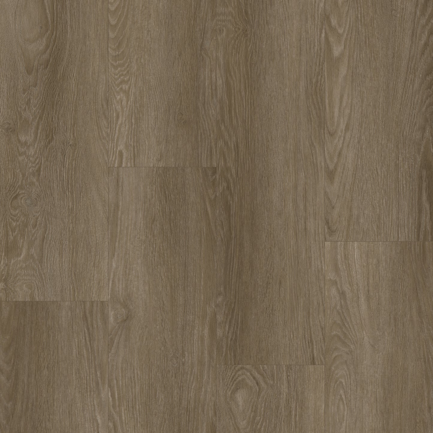 Bodiax Plank Waldorf dryback
