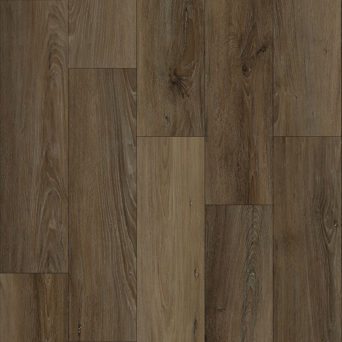 Bodiax Plank Dusk dryback