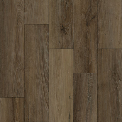 Bodiax Plank Dusk dryback