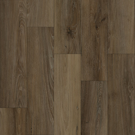 Bodiax Plank Dusk dryback
