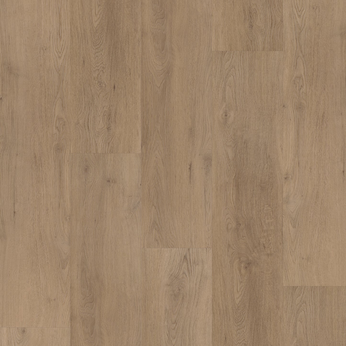 Bodiax Plank Donker eiken dryback