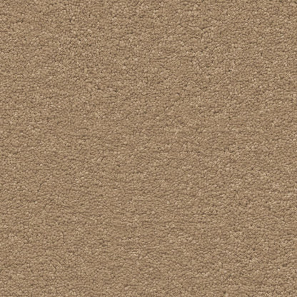 Ambiant Orlando sesam 0450 | 400cm