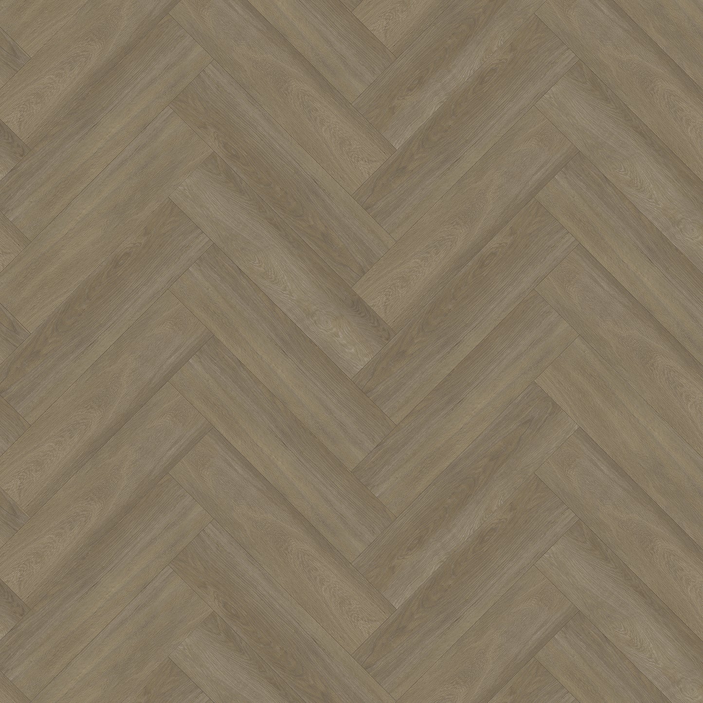 Bodiax Visgraat Ash click