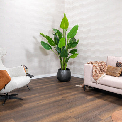Hebeta Cayenne XL Plank 54848 dryback