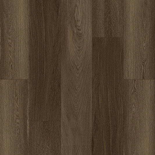 Bodiax Plank Velvet Espresso dryback
