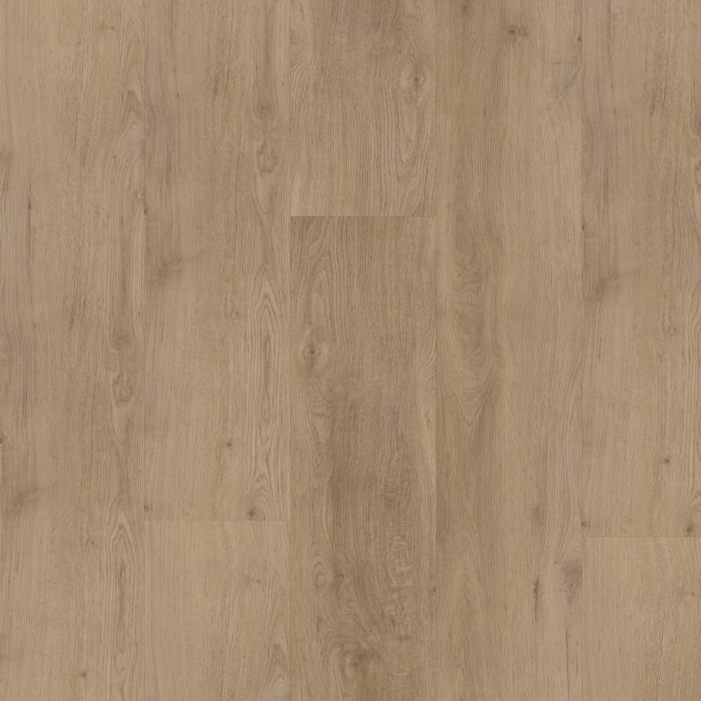 Bodiax Plank Licht eiken dryback