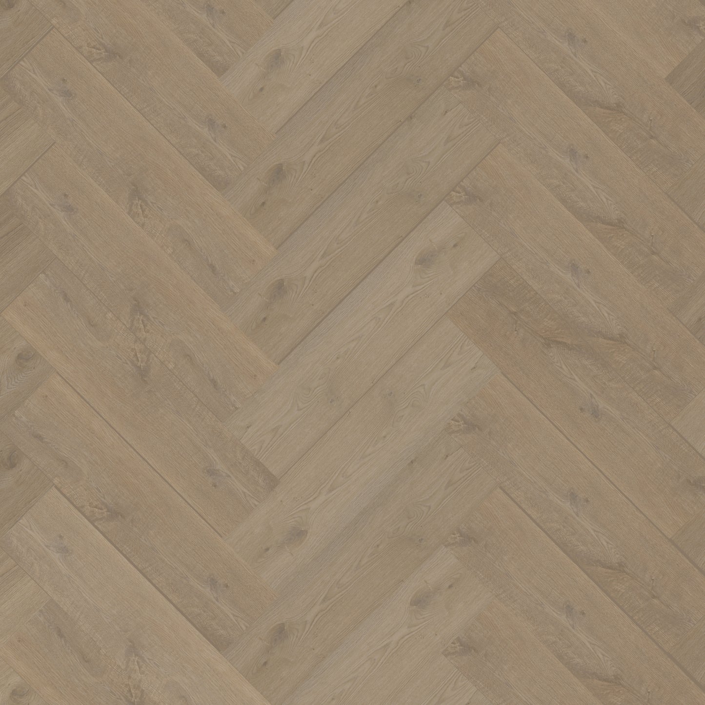 Bodiax Visgraat Burnaby Oak click