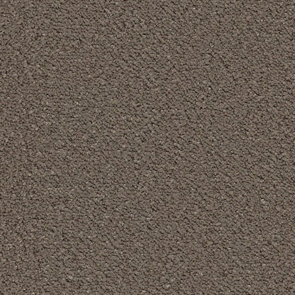 Ambiant Lodi bruin 0600 | 400cm