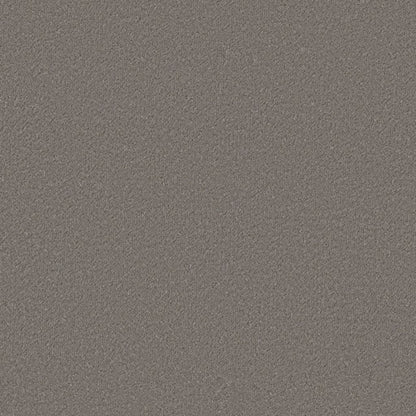 Ambiant Lodi warmgrijs 0102 | 400cm