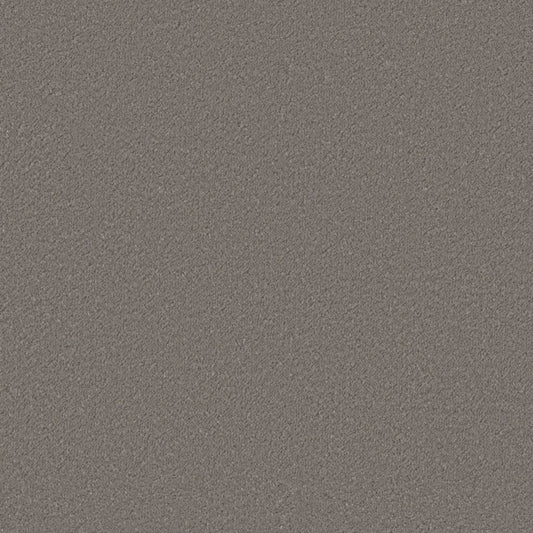 Ambiant Lodi warmgrijs 0102 | 400cm