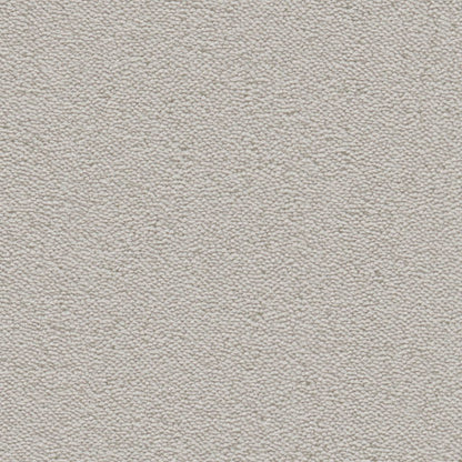 Ambiant Charlotte lichtgrijs 0165 | 400 cm