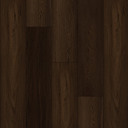 Bodiax Plank Noir Prestige dryback