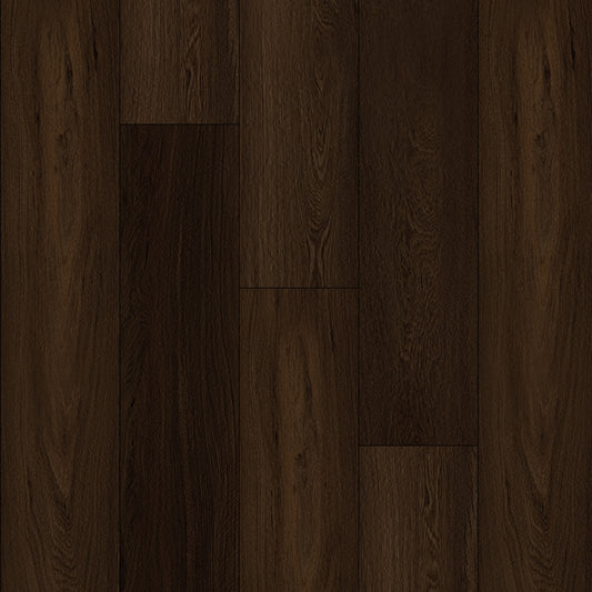 Bodiax Plank Noir Prestige dryback