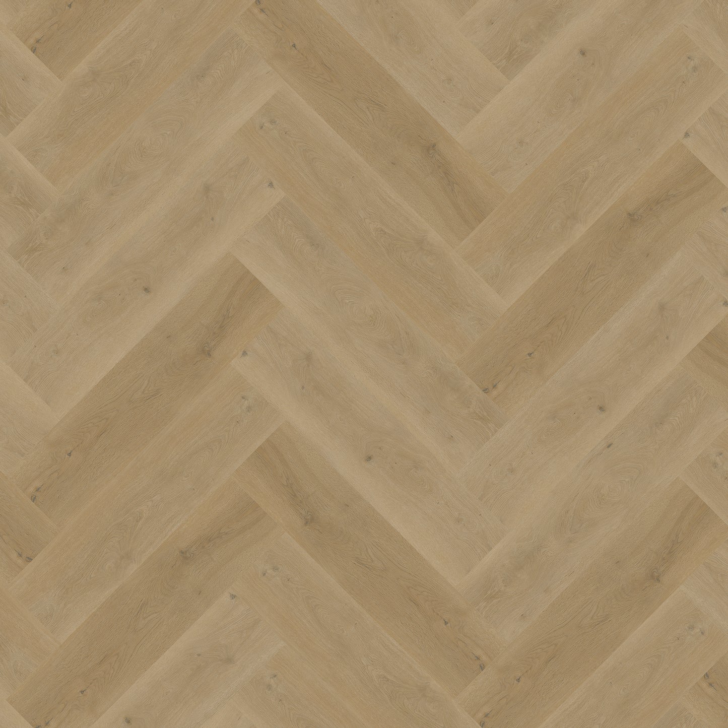 Bodiax Visgraat Silt click