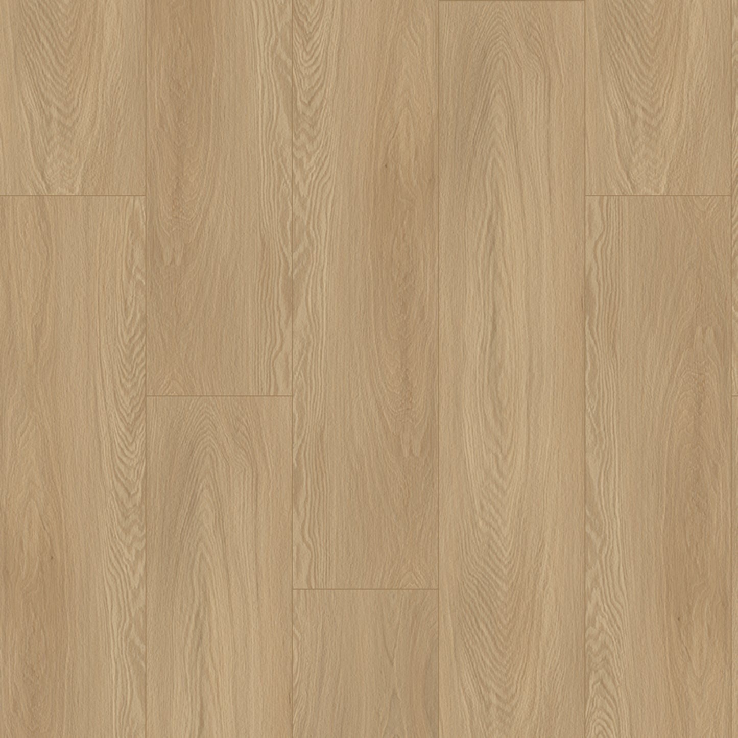 Bodiax Plank Beach Oak dryback