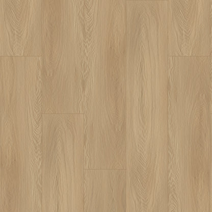 Bodiax Plank Beach Oak dryback