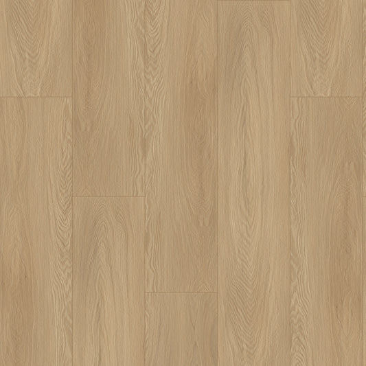 Bodiax Plank Beach Oak dryback