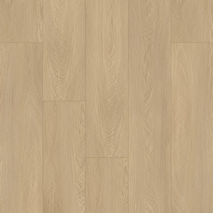 Bodiax Plank Platinum Wood dryback