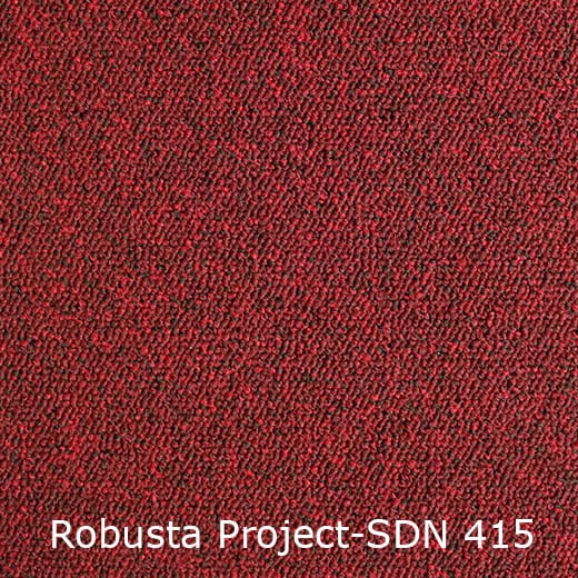 Interfloor Robusta Project-SDN 415