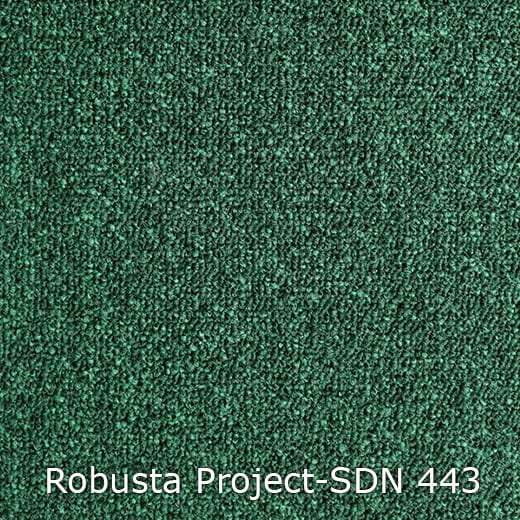Interfloor Robusta Project-SDN 443
