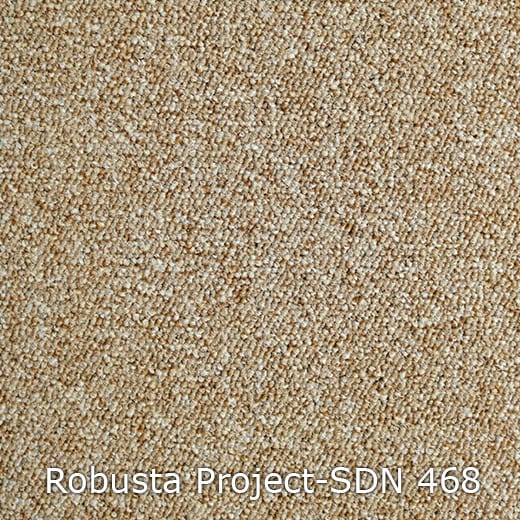 Interfloor Robusta Project-SDN 468