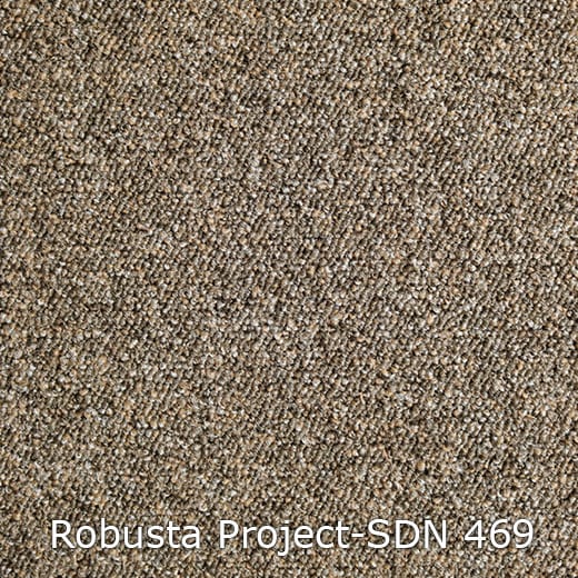 Interfloor Robusta Project-SDN 469