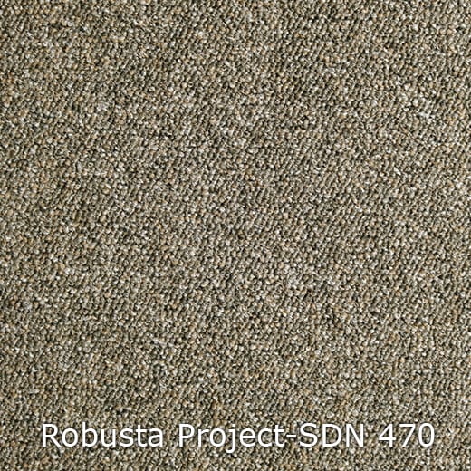 Interfloor Robusta Project-SDN 470