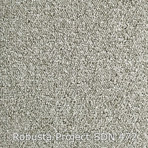 Interfloor Robusta Project-SDN 472