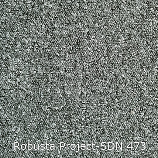 Interfloor Robusta Project-SDN 473