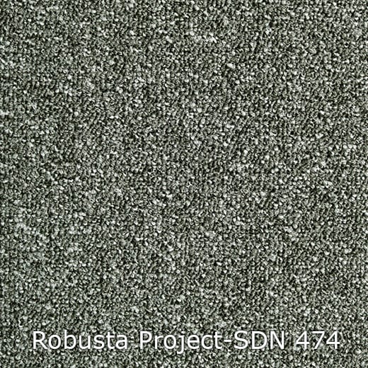 Interfloor Robusta Project-SDN 474