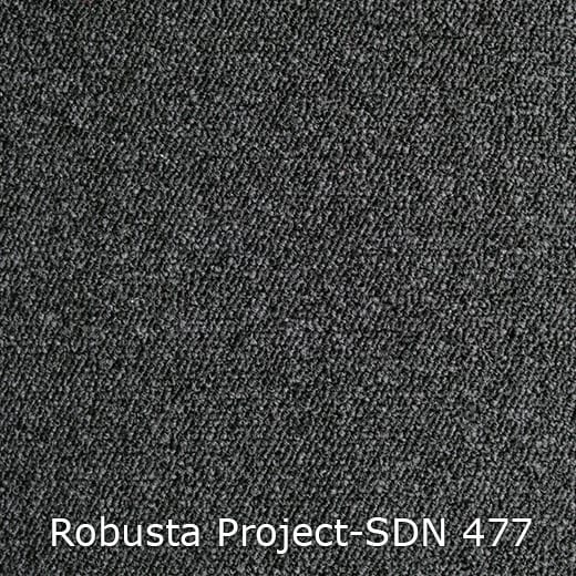 Interfloor Robusta Project-SDN 477