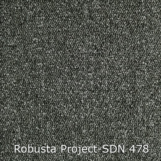Interfloor Robusta Project-SDN 478