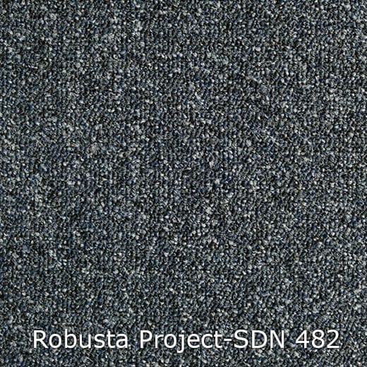 Interfloor Robusta Project-SDN 482