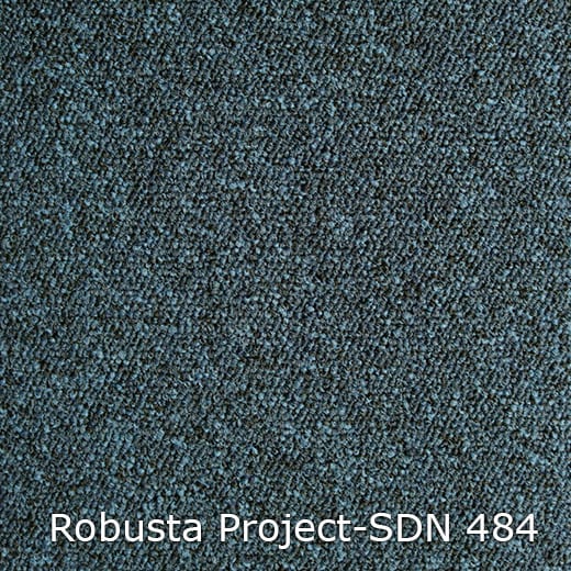 Interfloor Robusta Project-SDN 484