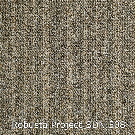 Interfloor Robusta Project-SDN 508