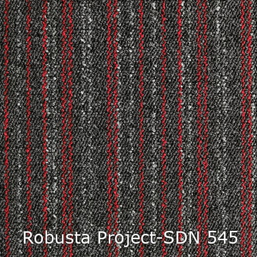 Interfloor Robusta Project-SDN 545