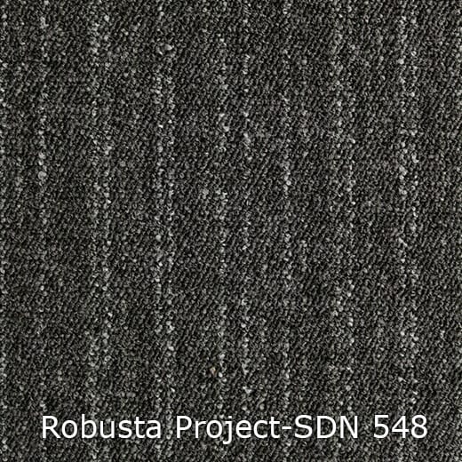 Interfloor Robusta Project-SDN 548