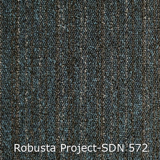 Interfloor Robusta Project-SDN 572