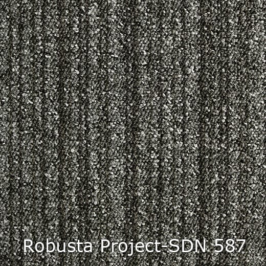 Interfloor Robusta Project-SDN 587