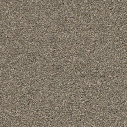 Ambiant Miami bruingrijs 0125 | 400cm