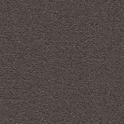 Ambiant Charlotte donkergrijs 0101 | 400 cm