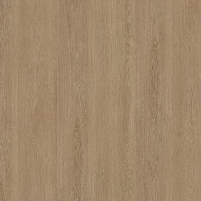 Ambiant Soleno dryback warm oak