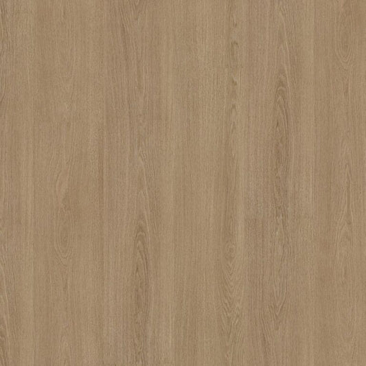 Ambiant Soleno dryback warm oak