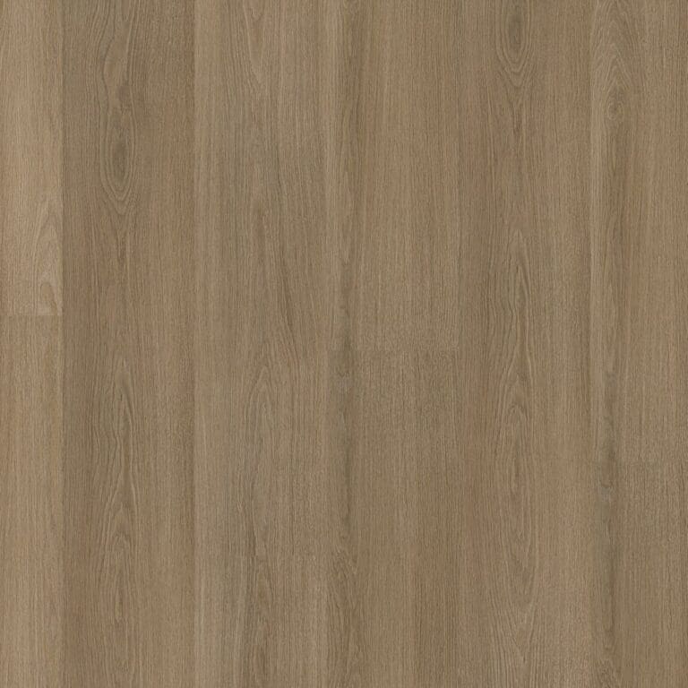 Ambiant Soleno dryback dark oak