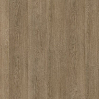 Ambiant Soleno dryback dark oak