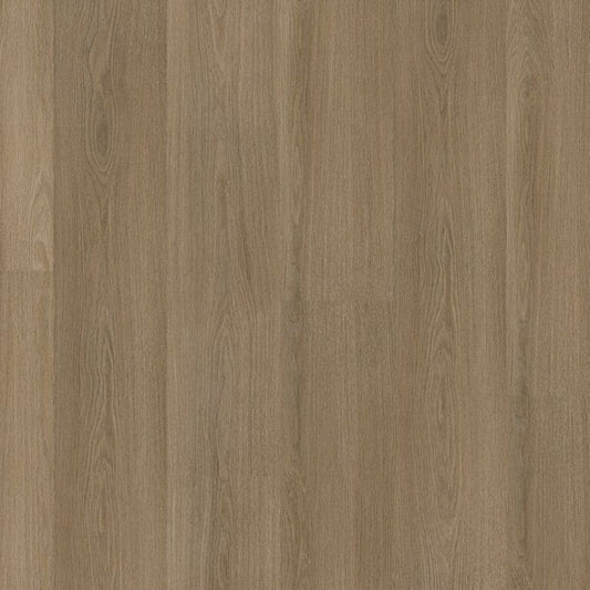 Ambiant Soleno dryback dark oak