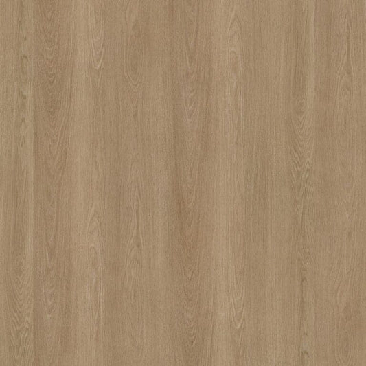 Ambiant Soleno click SRC warm oak