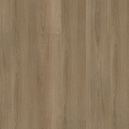 Ambiant Soleno click SRC dark oak